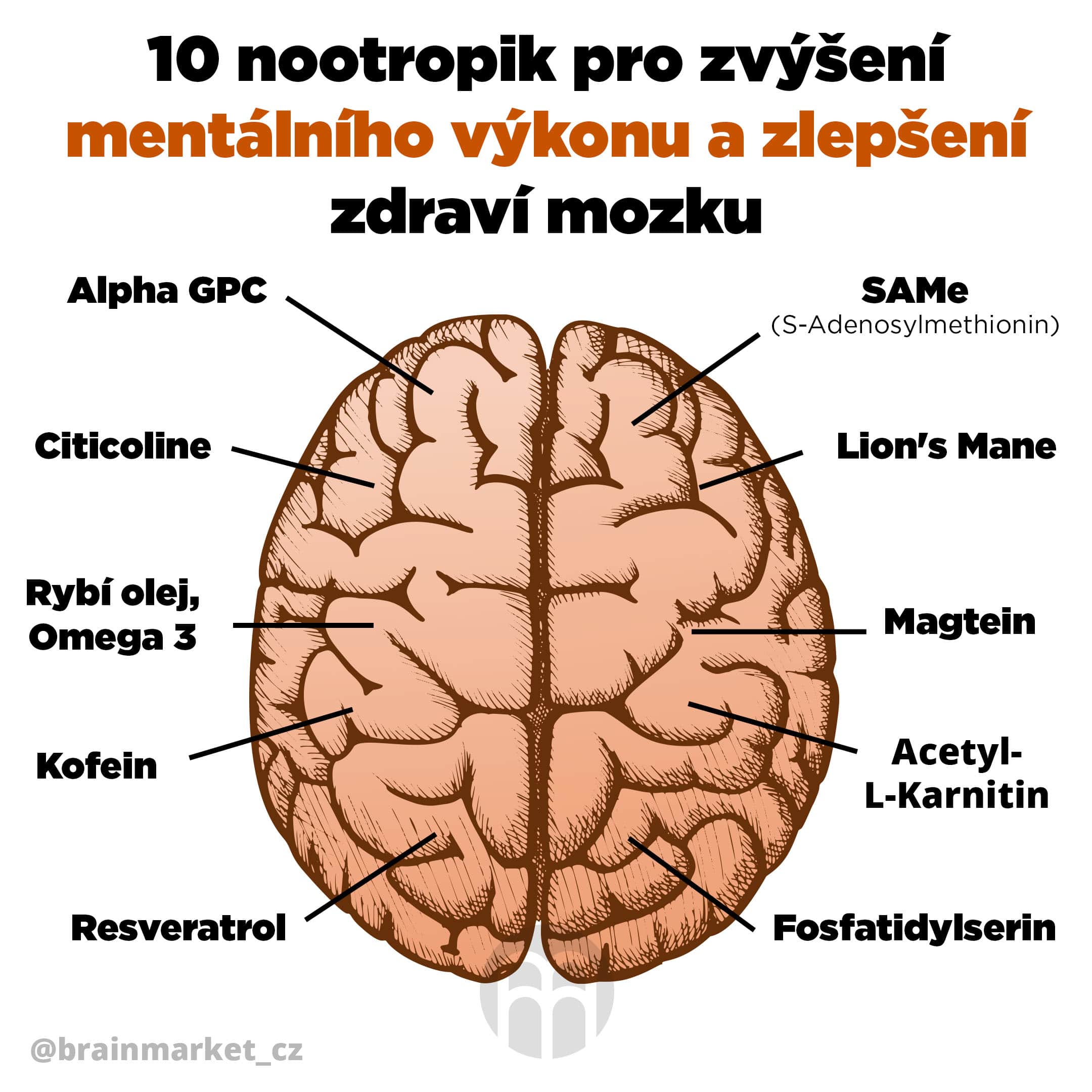 Co je nejlepší na mozek?