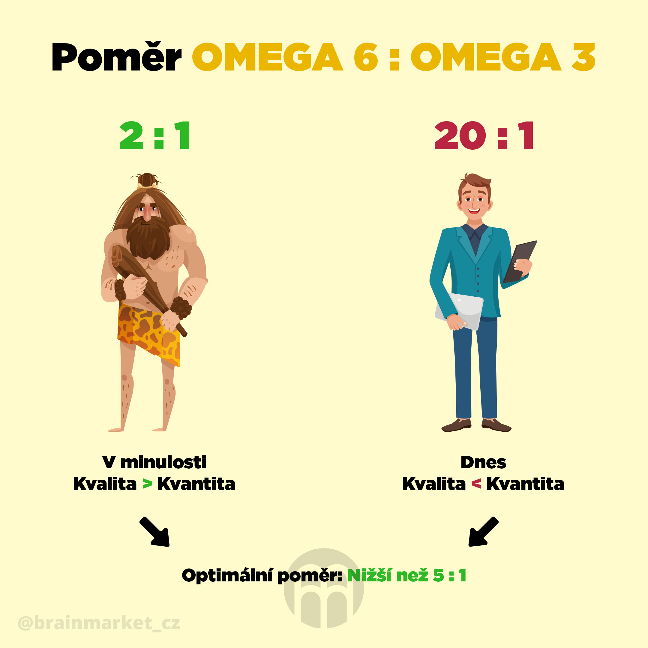 Správny pomer omega 6 a omega 3