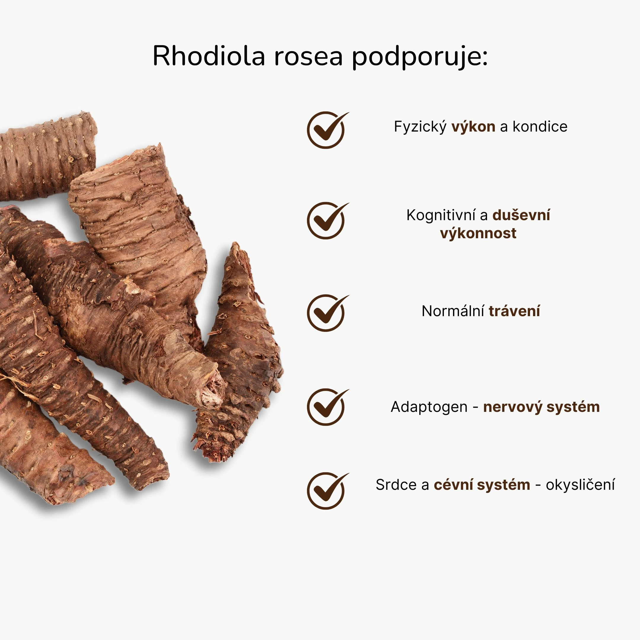 rhodiola rosea infografika