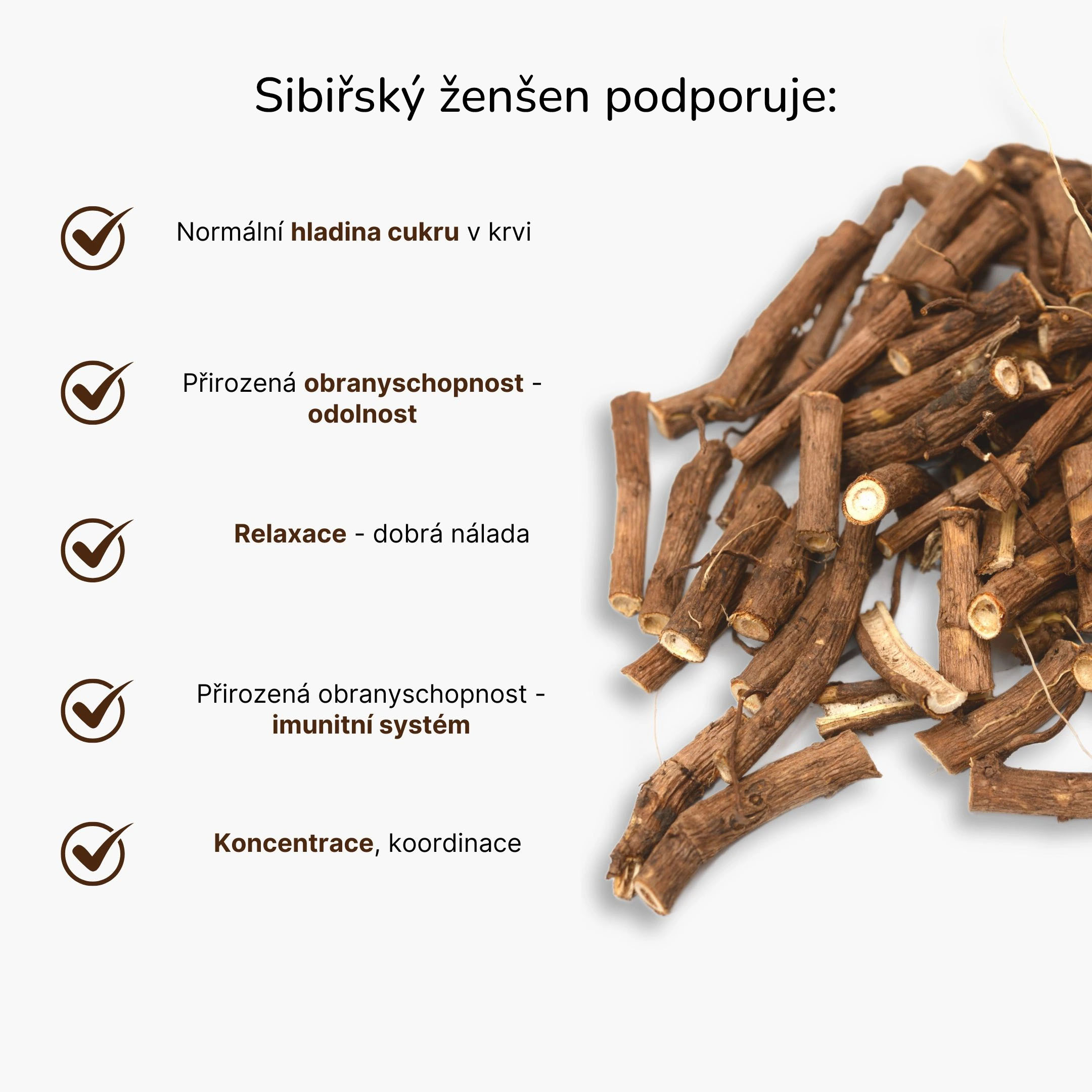 sibirsky zensen infografika