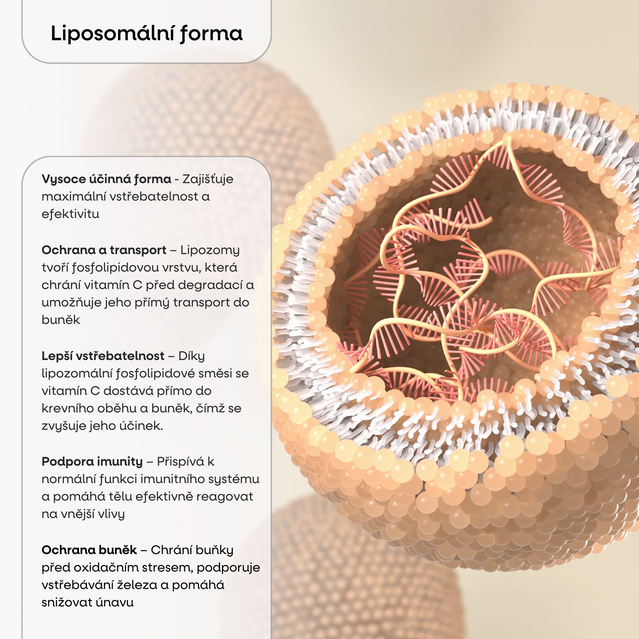 BrainMax ACDKZINC, 90 kapslí