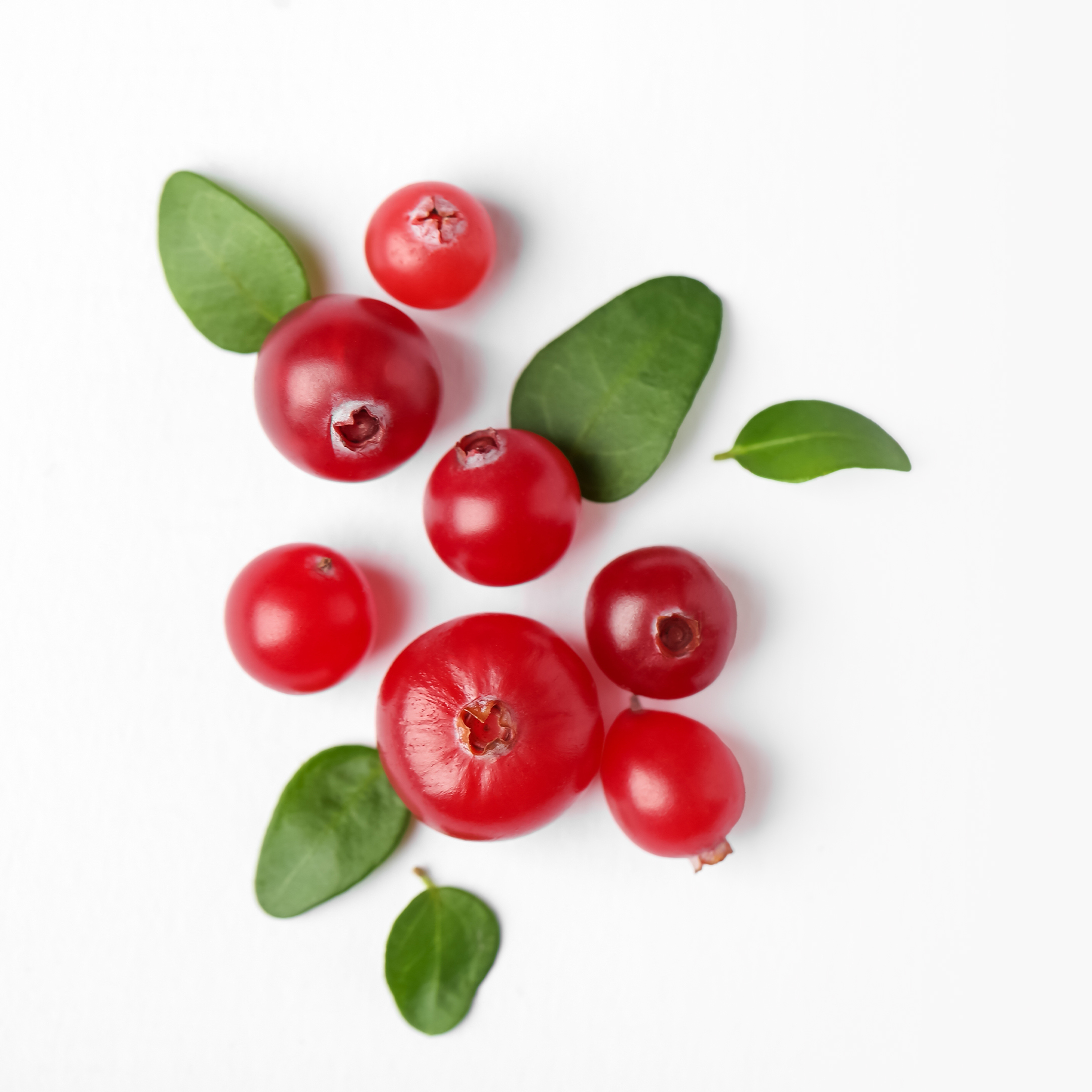 Cranberry