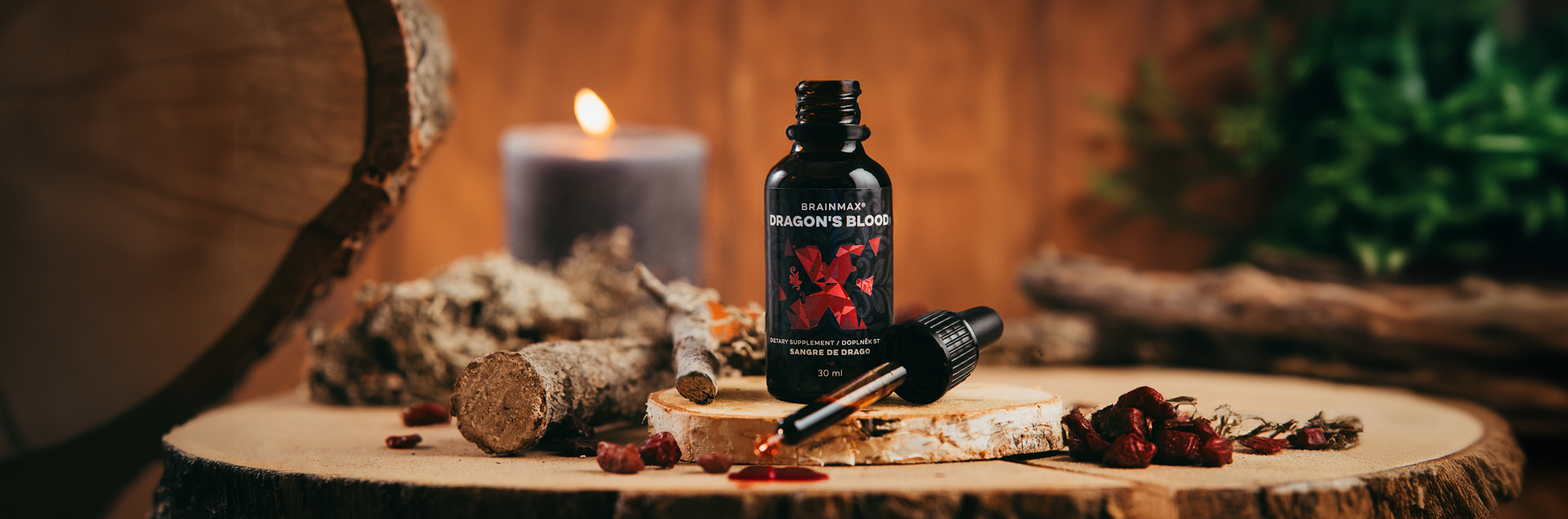 draci krev hlavní final