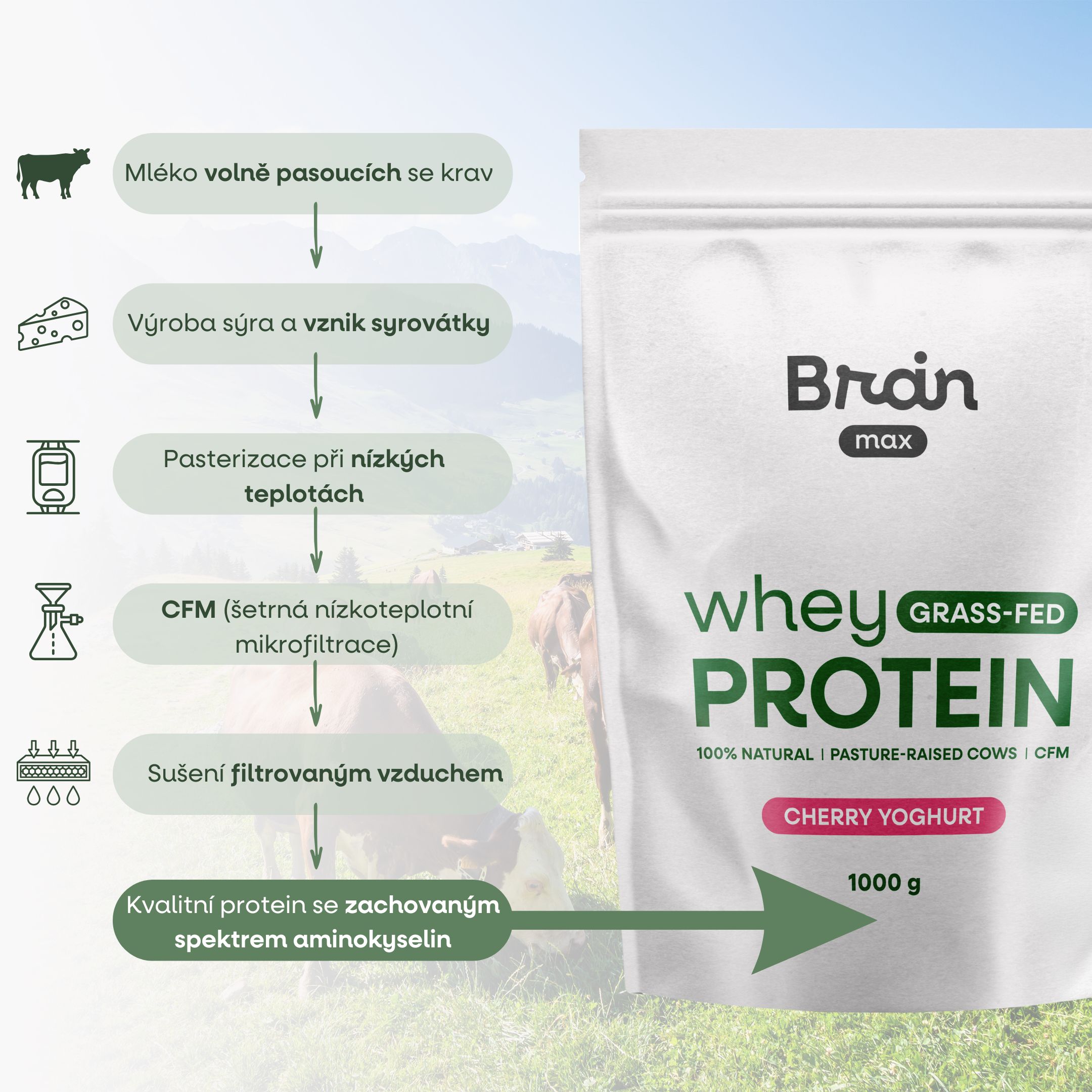 TŘEŠŇOVÝ JOGURT