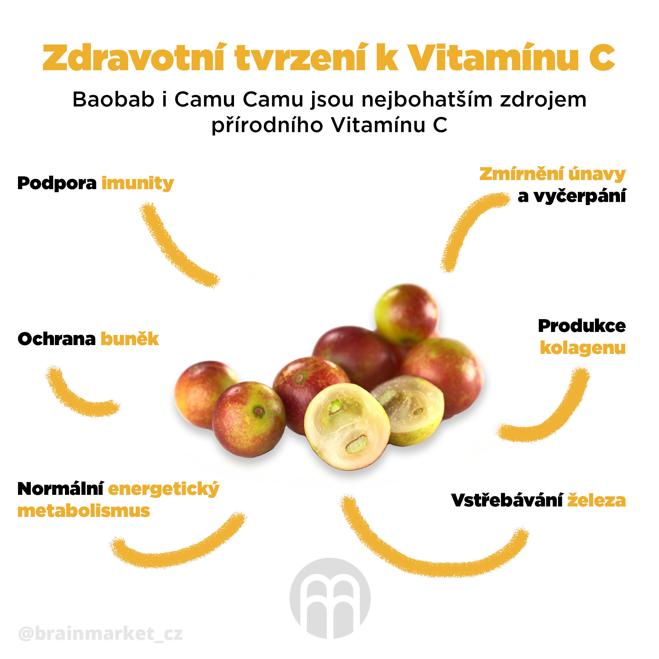 camu-brainmax-pure-infografika-brainmarket-cz