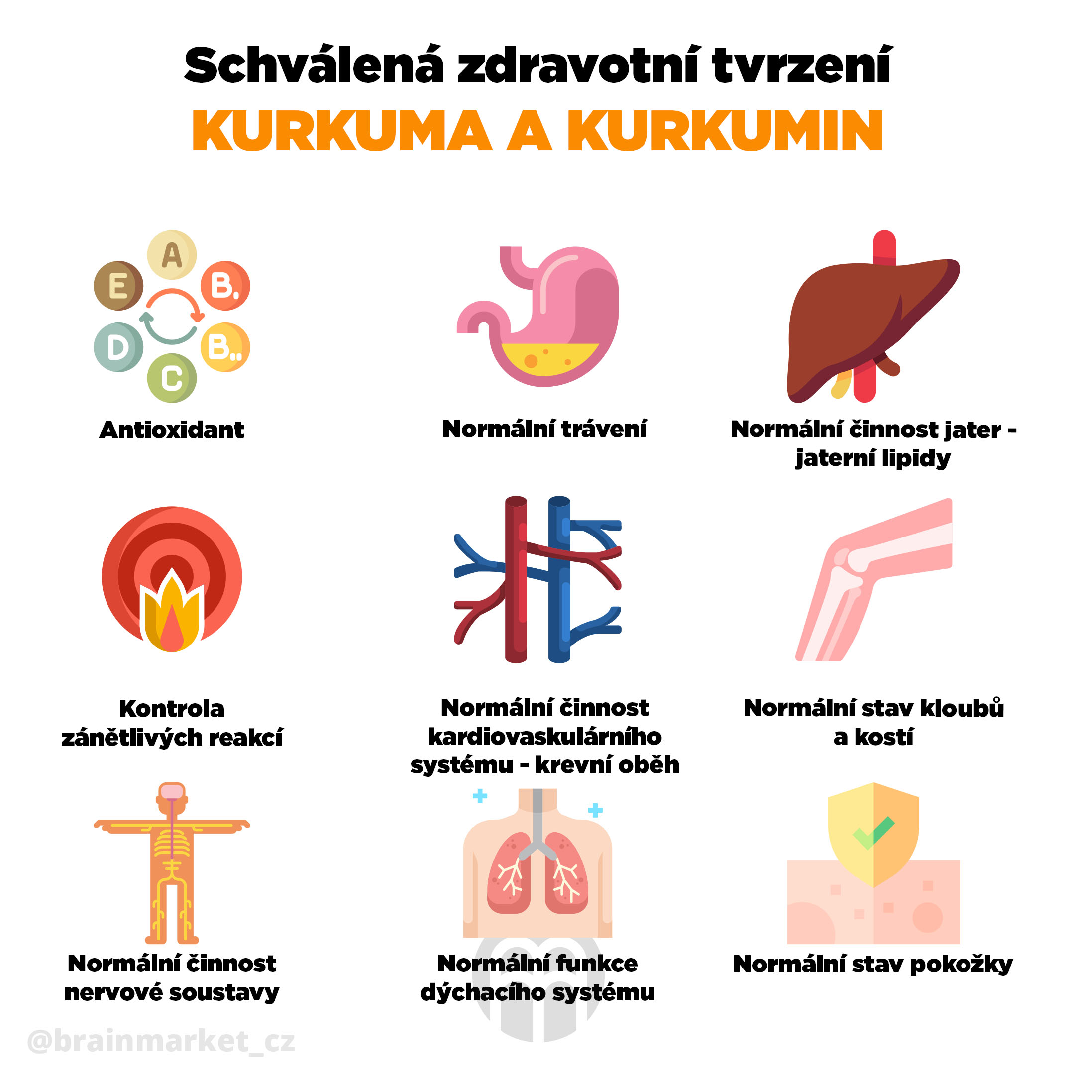schvalena_tvrzeni_kurkuma_infografika_brainmarket_cz