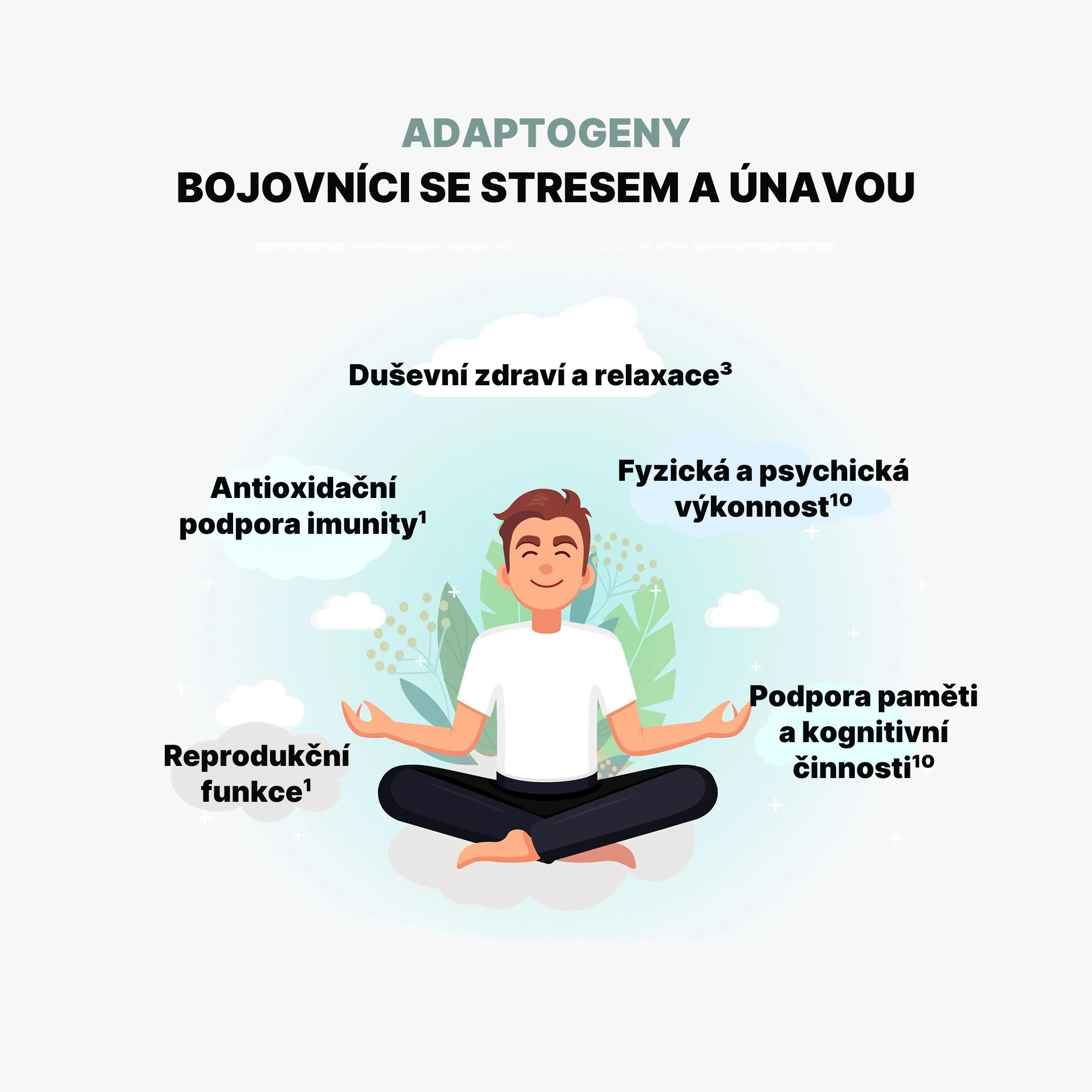 ADAPTOGENY BOJOVNÍCI SE STRESEM A ÚNAVOU