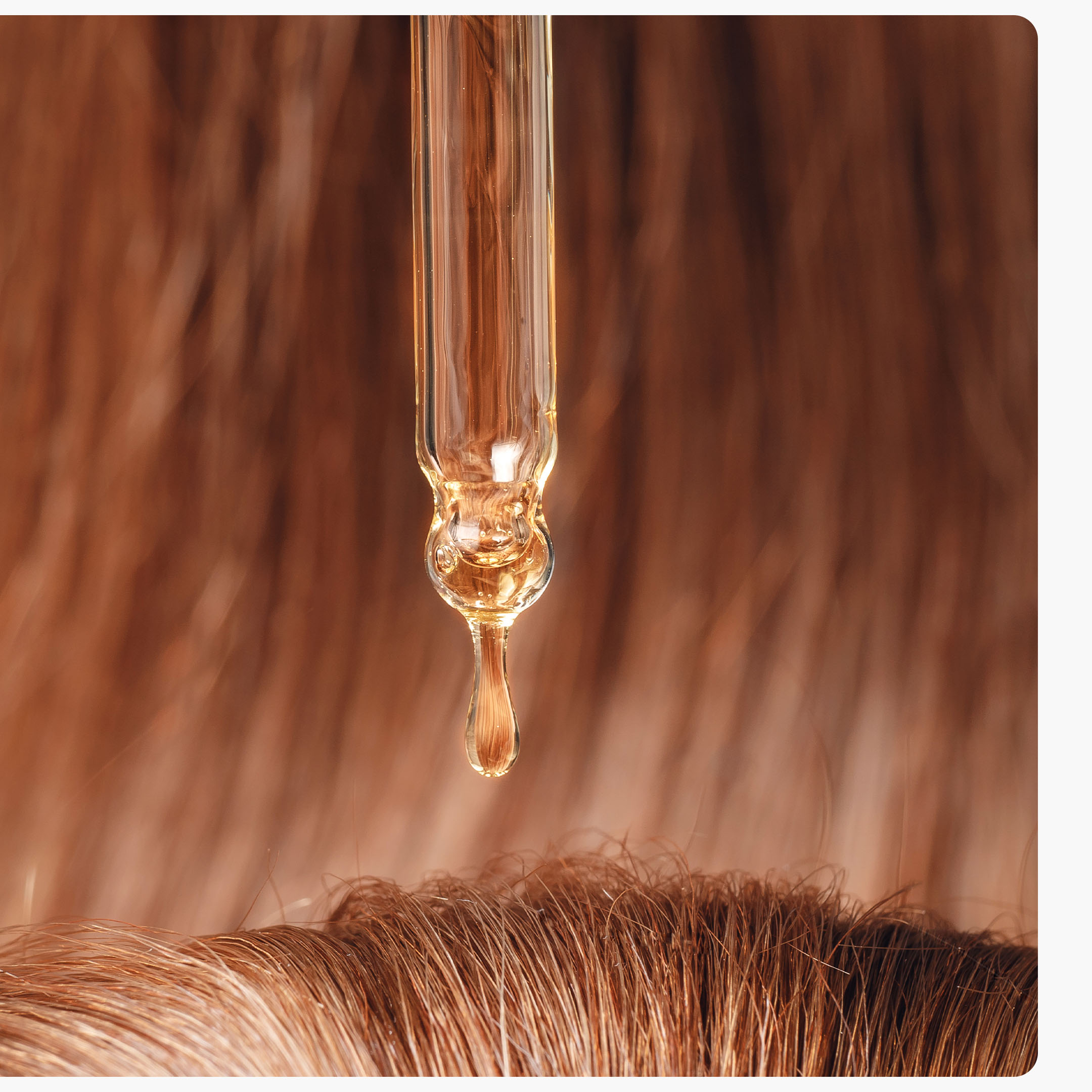 Arganöl für die Haare