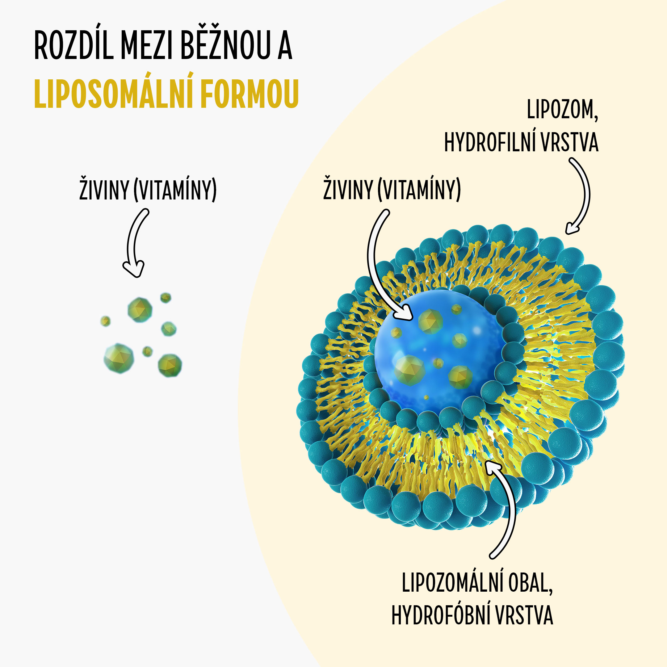 piękno liposomalne