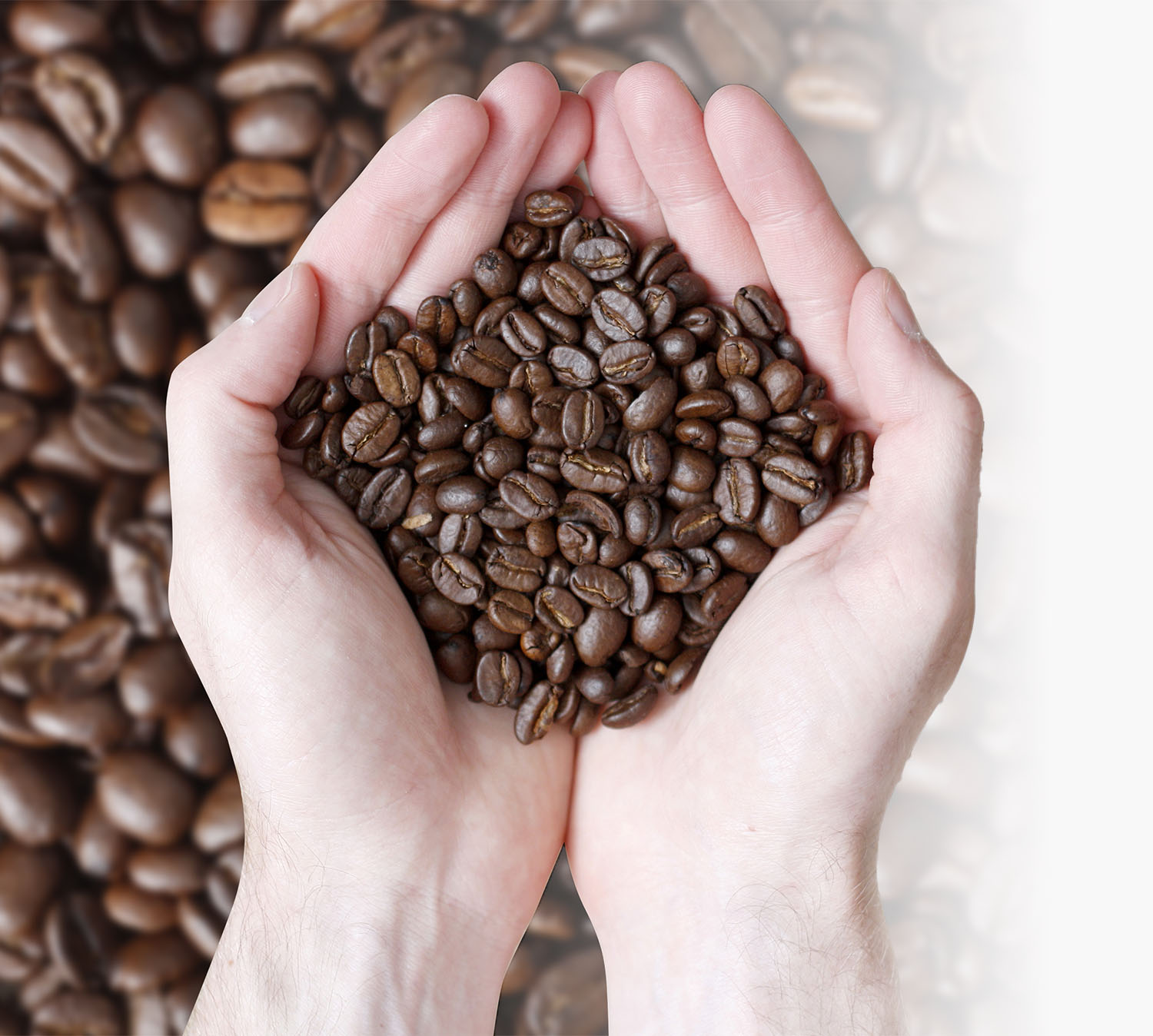 Fair-Trade-Kaffee
