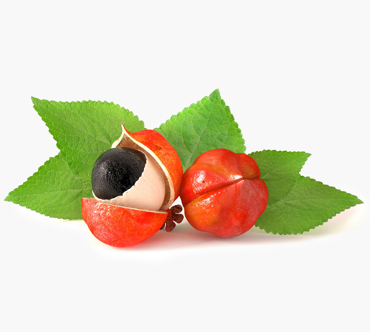 Guarana