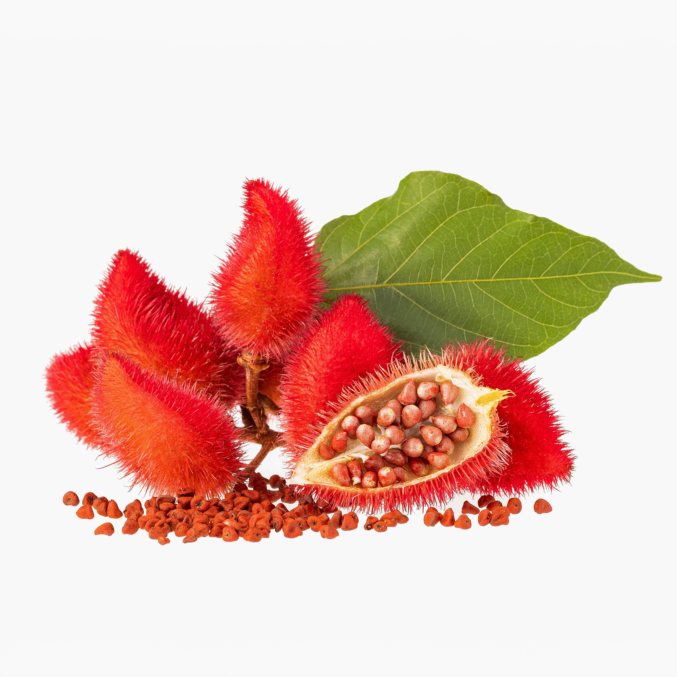 Annatto