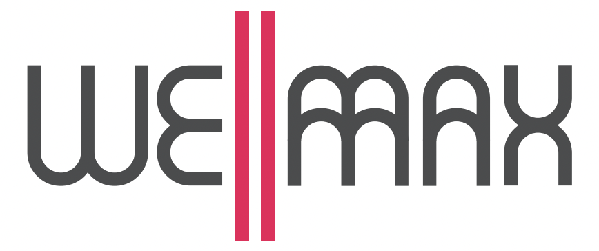 wellmax-logo