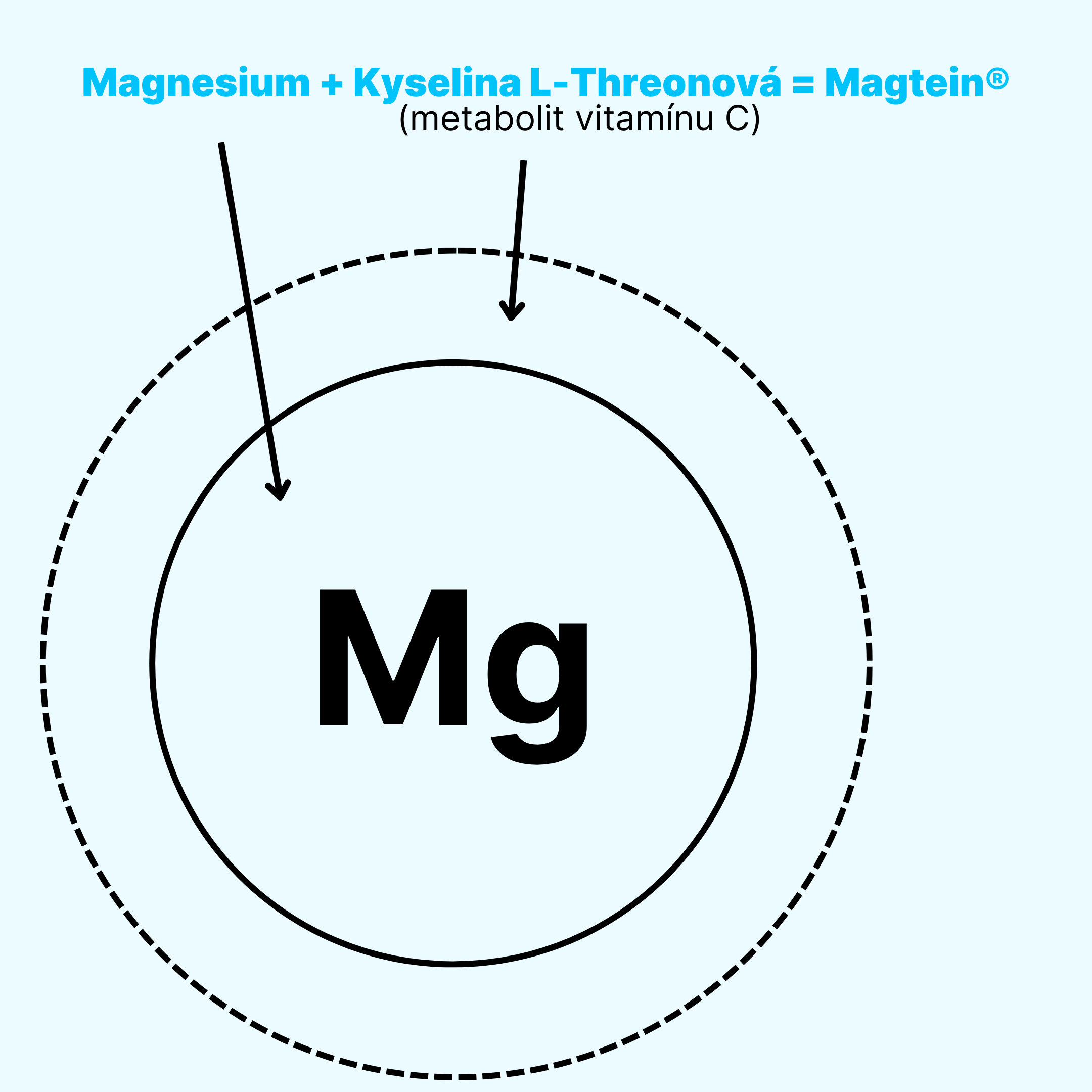 magteininfo