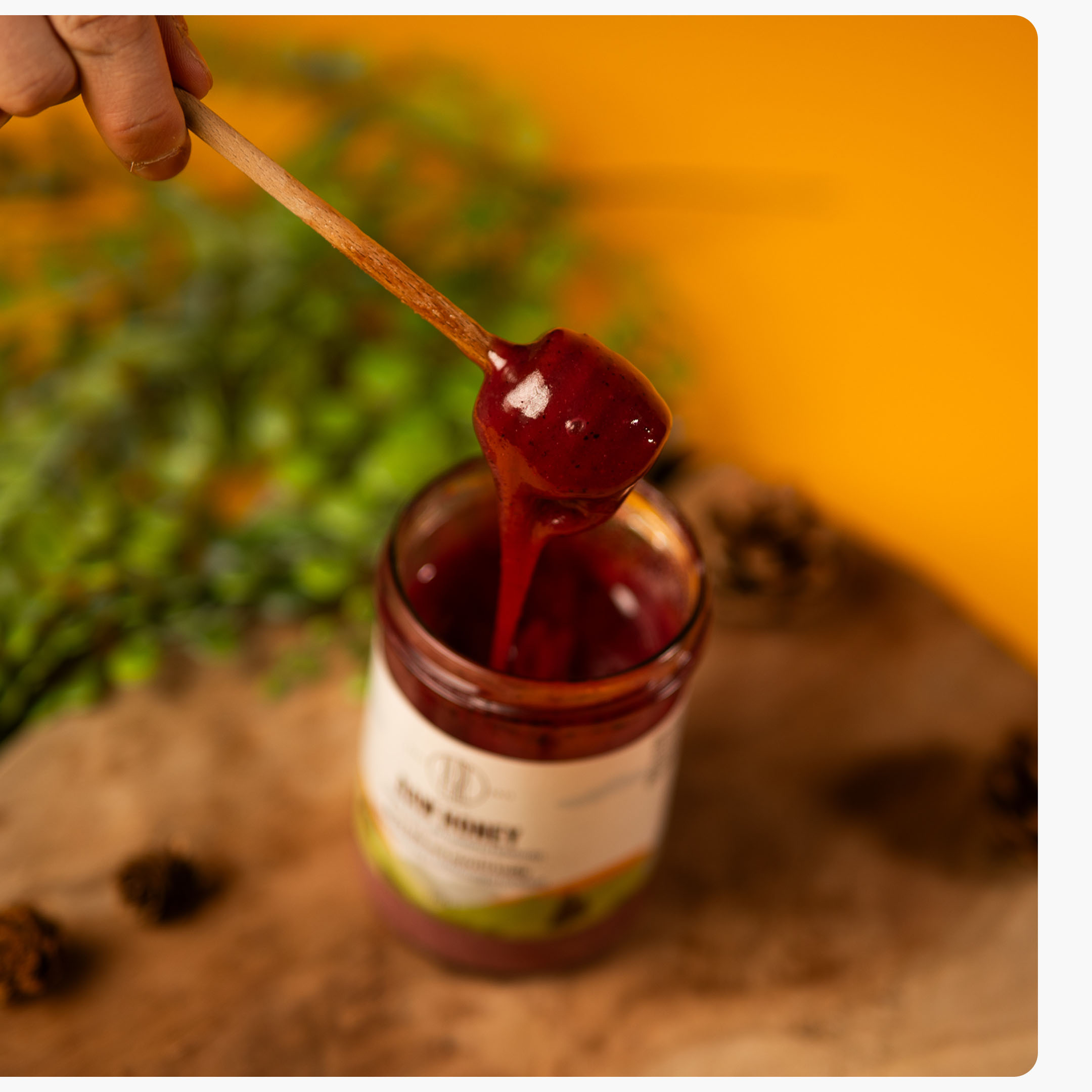 RAW-Honig Heidelbeere