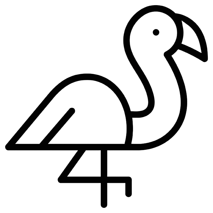 flamingo