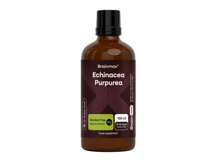 BrainMax® Echinacea Alcohol Free Tincture, Extract, 100 ml