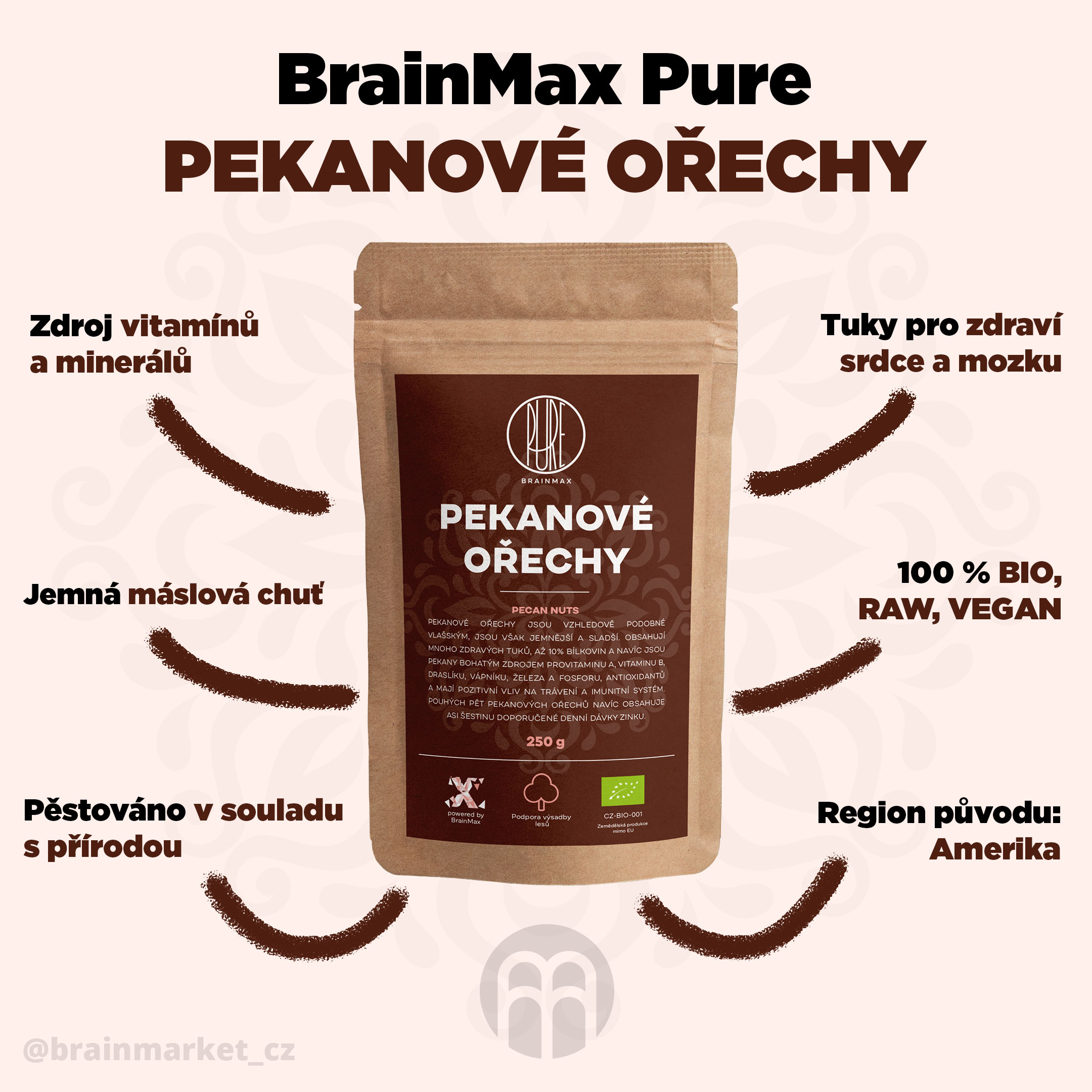 BrainMax Pure Pekanové ořechy BIO - BrainMarket.cz