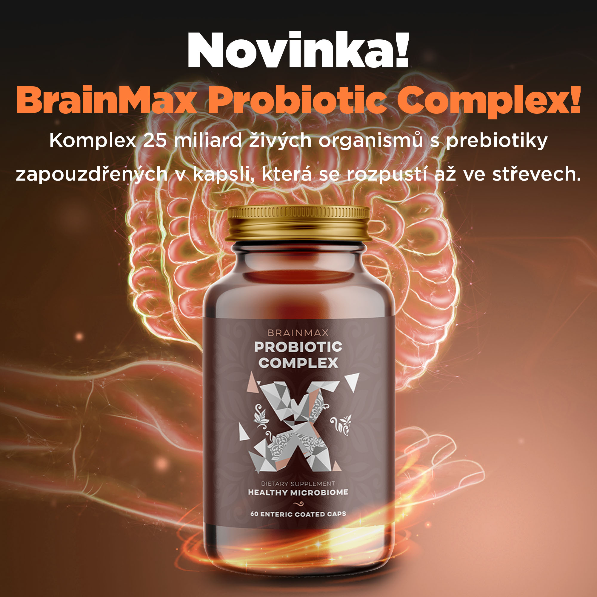 Probiotika BrainMax