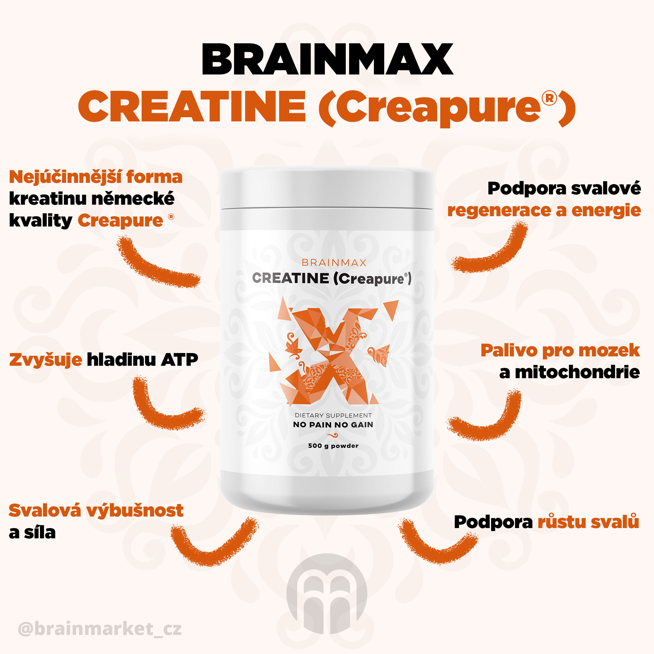 AAAbrainmax creapure creatine blog-infografika brainmarket CZ