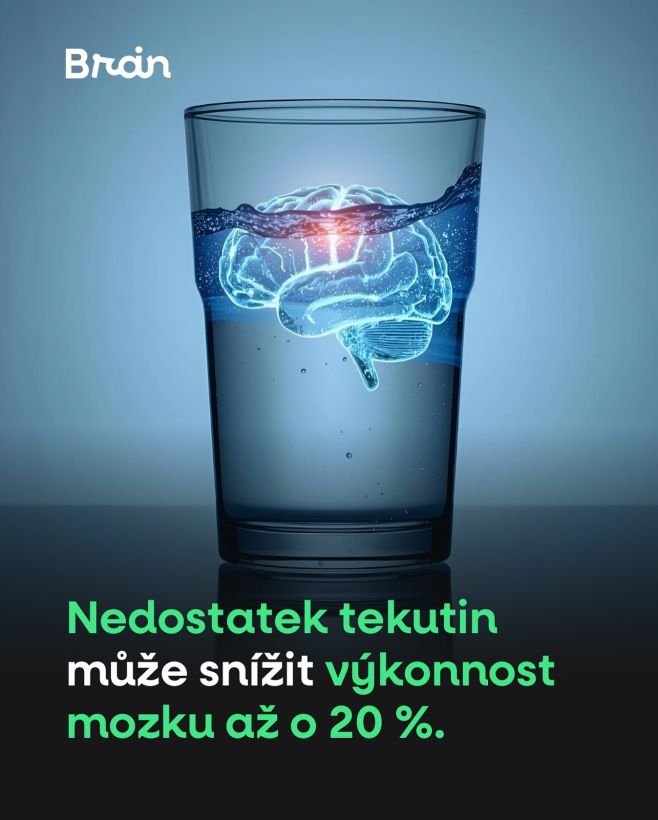 Vědci zjistili, že když nepřijímáte dostatek tekutin, mozek se může fyzicky zmenšit. Ve výzkumu lidé s dehydratací...