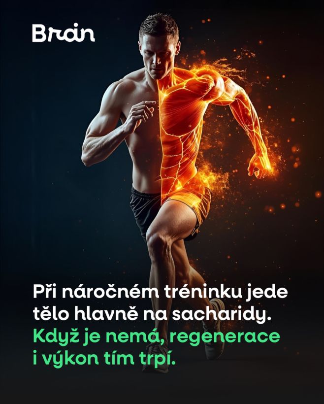 Mnoho lidí podceňuje, jak moc jsou intenzivní tréninky závislé na sacharidech. Při silovém nebo intenzivním cvičení tělo...