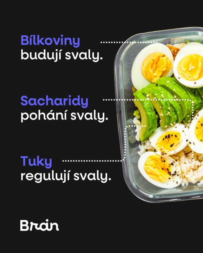 Svaly nejsou jen o bílkovinách 🍗 Rostou tehdy, když má tělo materiál, palivo i prostor na regeneraci. A právě makra to...