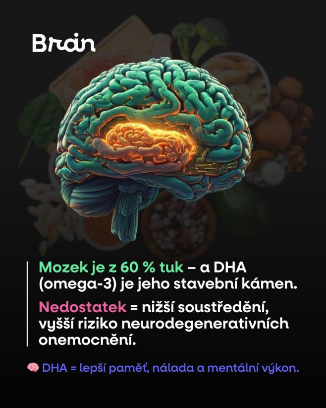 Jedním z nejdůležitějších tuků pro mozek je DHA (kyselina dokosahexaenová) – klíčová omega-3 mastná kyselina, která...